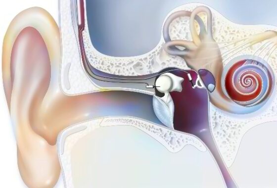 Implantable hearing aid device